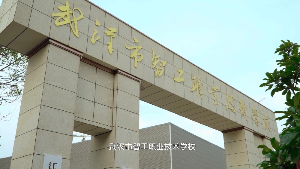 武汉智工